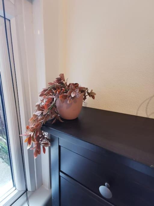 Lovely 1 Bed Flat In Trendy Peckham Apartment